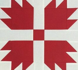 Crafting Coziness: Bear Paw Quilt Block